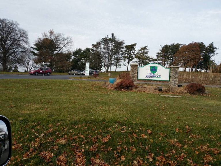 Blue Shamrock Golf Club Rockin Ramaley